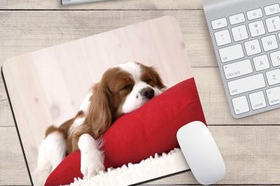 Factory outlet wholesale promotional mouse pad (1)